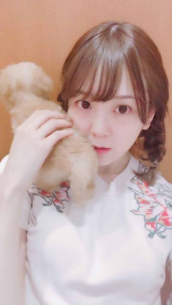 美高梅館:淳淳
