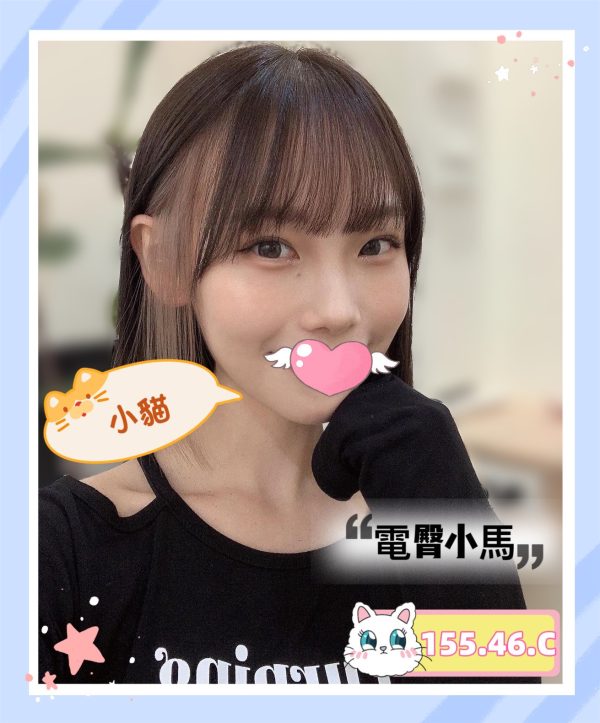 林森2館：小貓