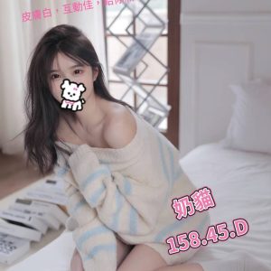 林森2館:奶貓